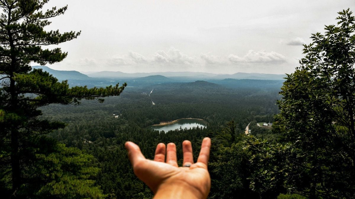 Adieu les imprimantes ! Comment les éditeurs PDF permettent de gagner du temps (et de sauver des arbres)