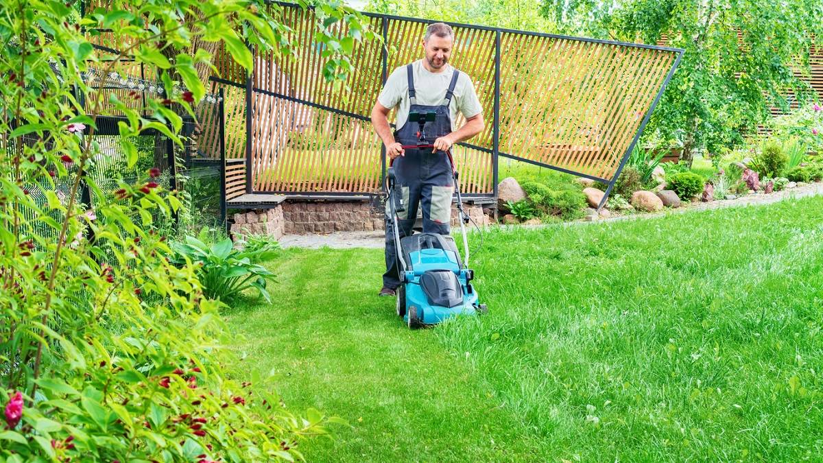 homme tondant l'herbe verte avec une tondeuse électrique