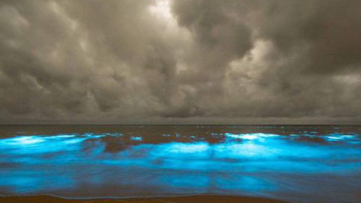 Sur le littoral Atlantique, une étonne lumière bleue fluorescente aperçue dans l'océan