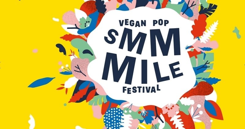 Le Smmmile pop festival revient en force du 15 au 16 septembre 2018