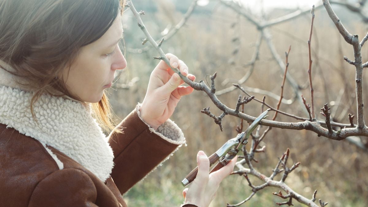 Voici 5 astuces indispensables pour préparer votre jardin avant l'arrivée de l'hiver