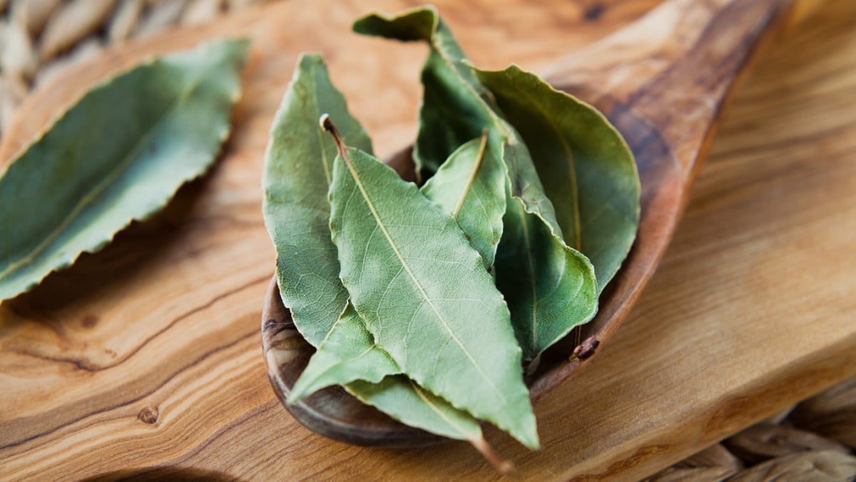 Brûlez des feuilles de laurier dans votre maison est recommandé et on vous explique pourquoi