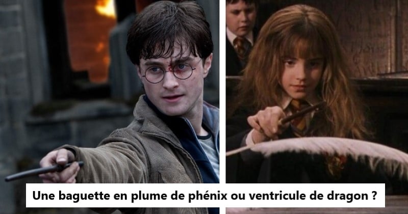 Harry Potter - Quelle baguette magique vous correspond ? 