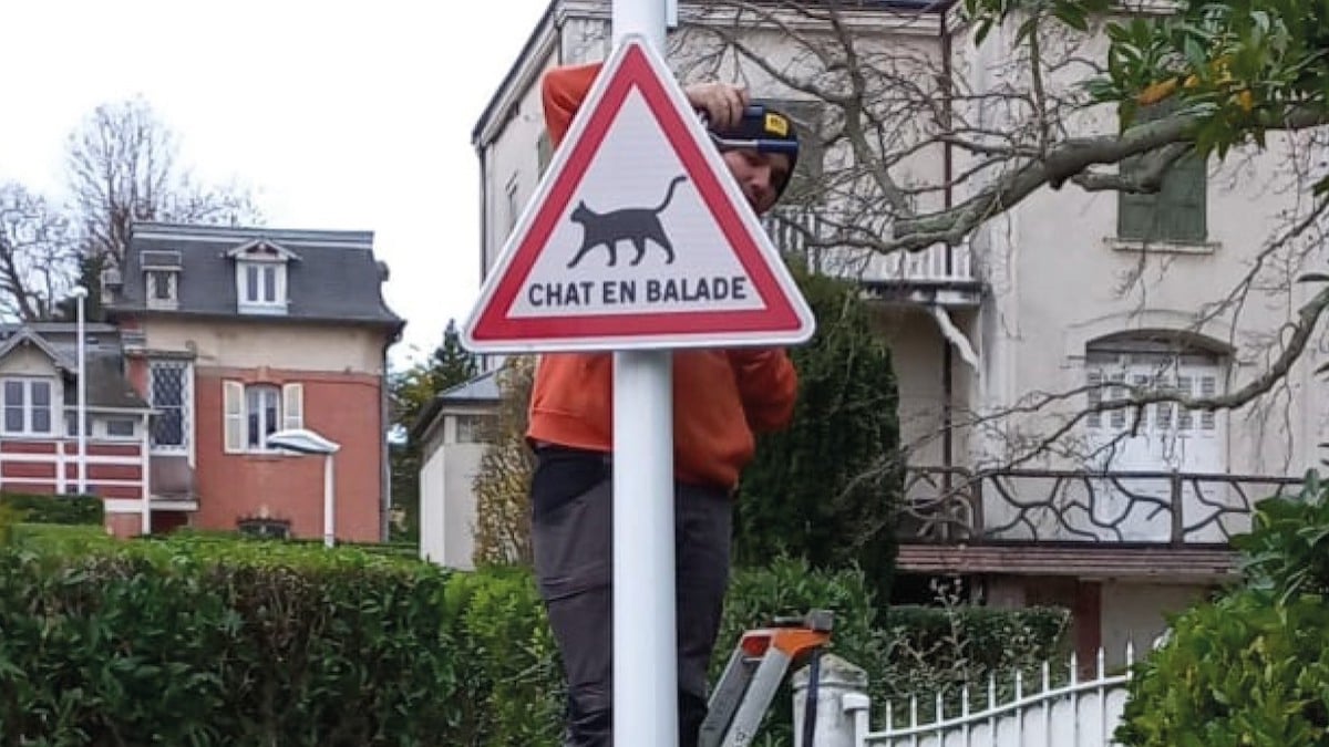 Cette ville normande installe des panneaux de signalisation « chat en balade », mais pourquoi faire ?