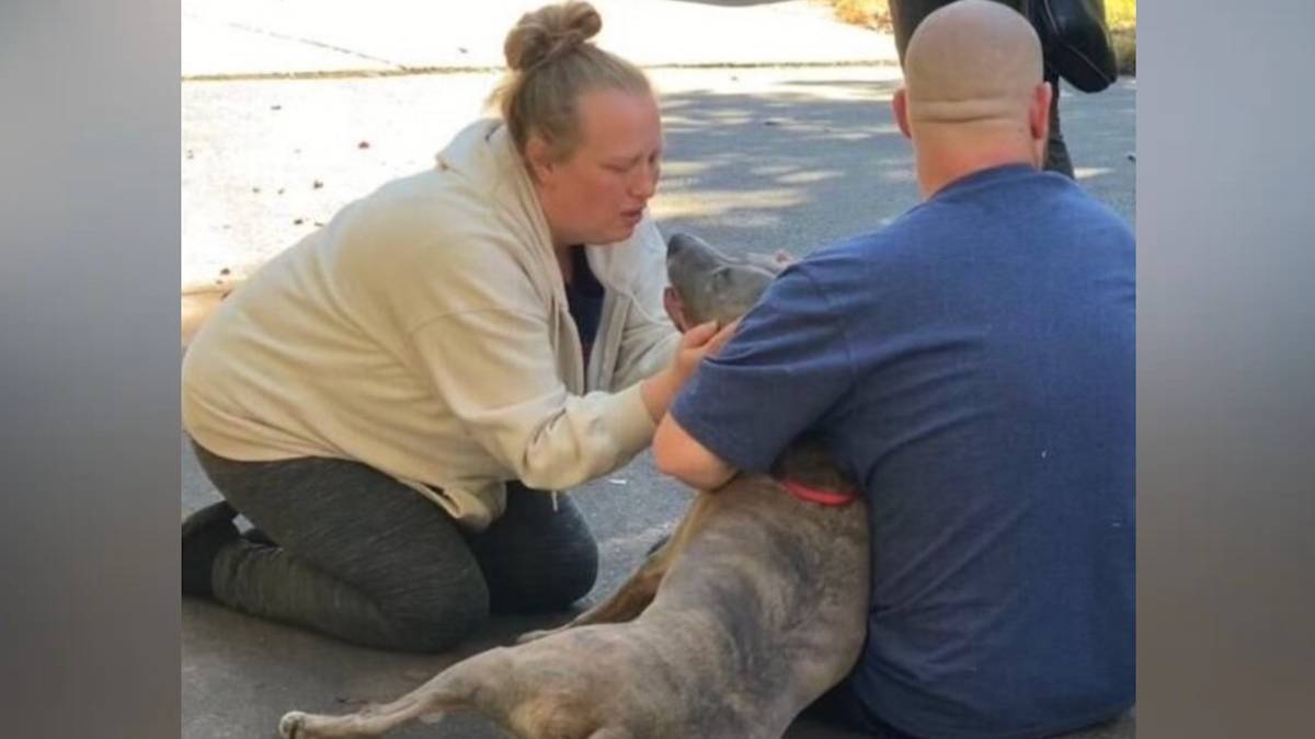 6 jours après avoir perdu son chien dans l'incendie de sa maison, une famille assiste à un miracle