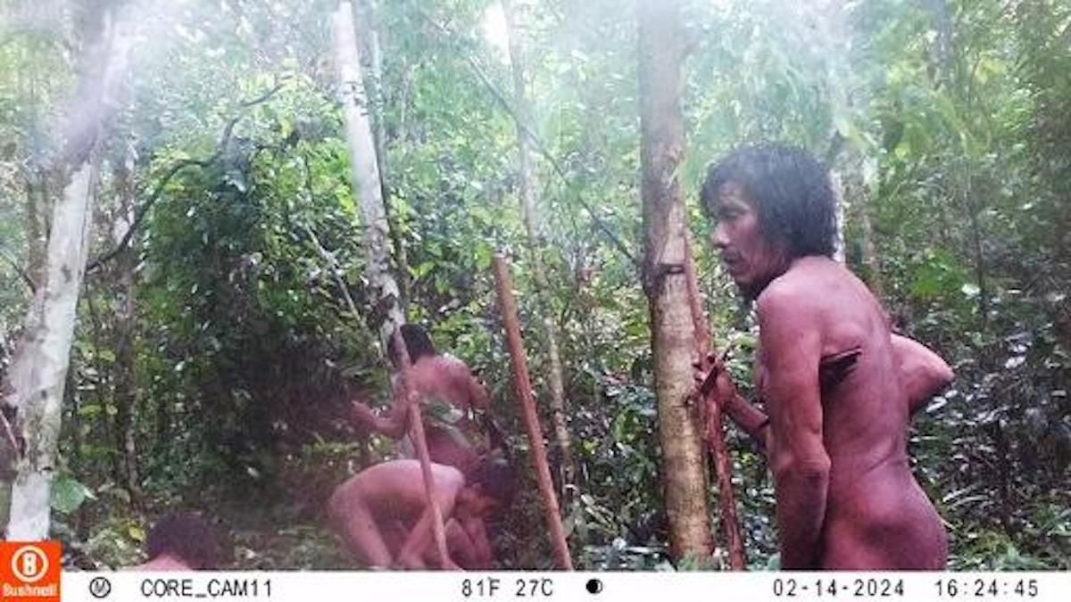 Au Brésil, une tribu indigène d'Amazonie photographiée pour la première fois