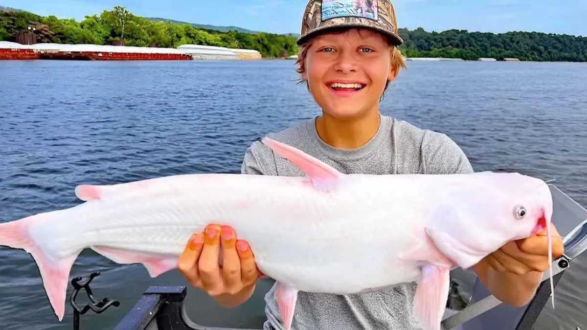 À 15 ans, il pêche un poisson blanc extrêmement rare, la vidéo fait le buzz