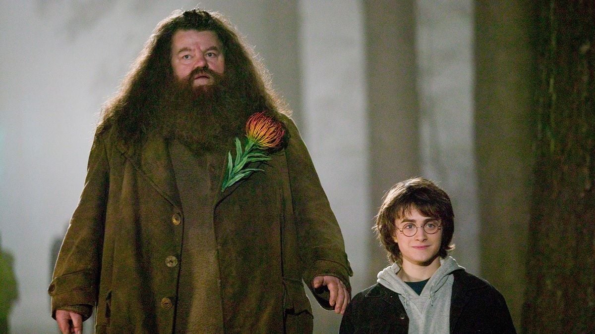 Harry Potter : voici l’acteur qui devrait incarner Hagrid dans la série, les fans sont conquis