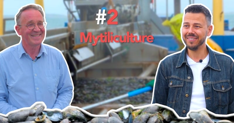 De la Mer à l'Assiette, épisode 2 : à la rencontre d'un producteur de moules pour flunch !