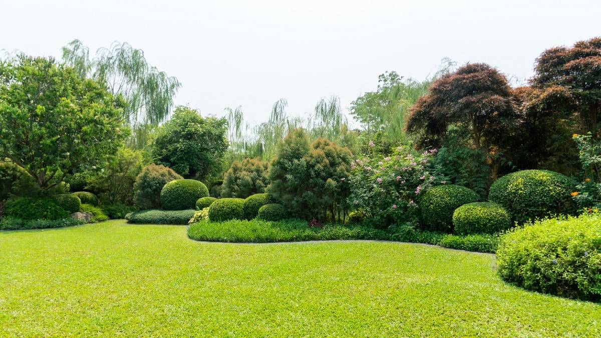 vue sur un jardin