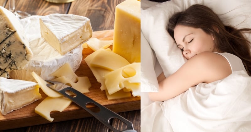 Alerte job de rêve : vous pouvez être payé pour manger du fromage et... dormir (c'est pour une étude très sérieuse)