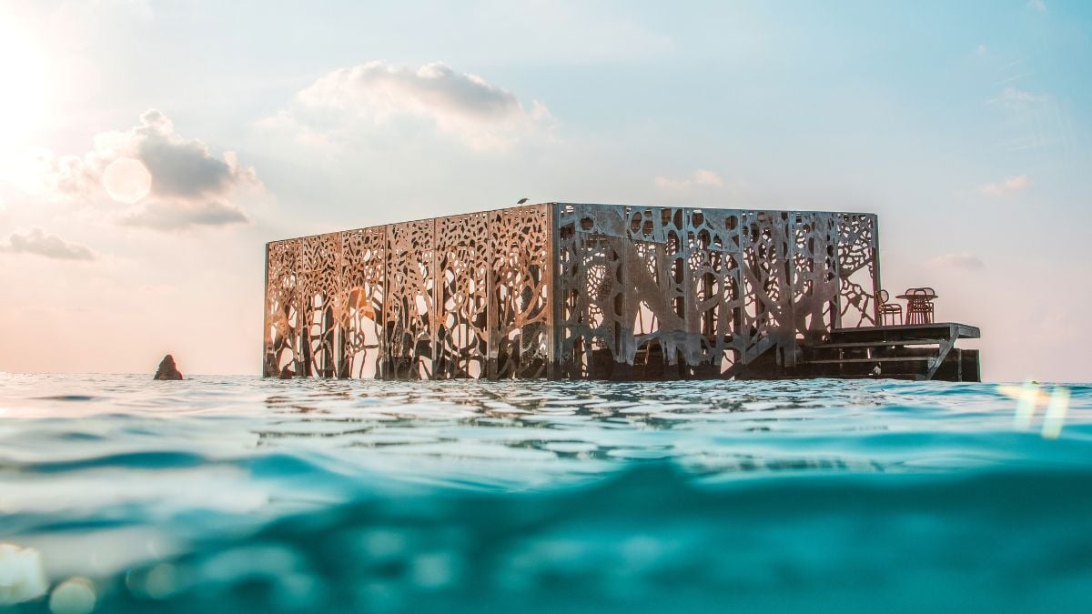 Voici le Coralarium, une œuvre d'art vivante unique au monde