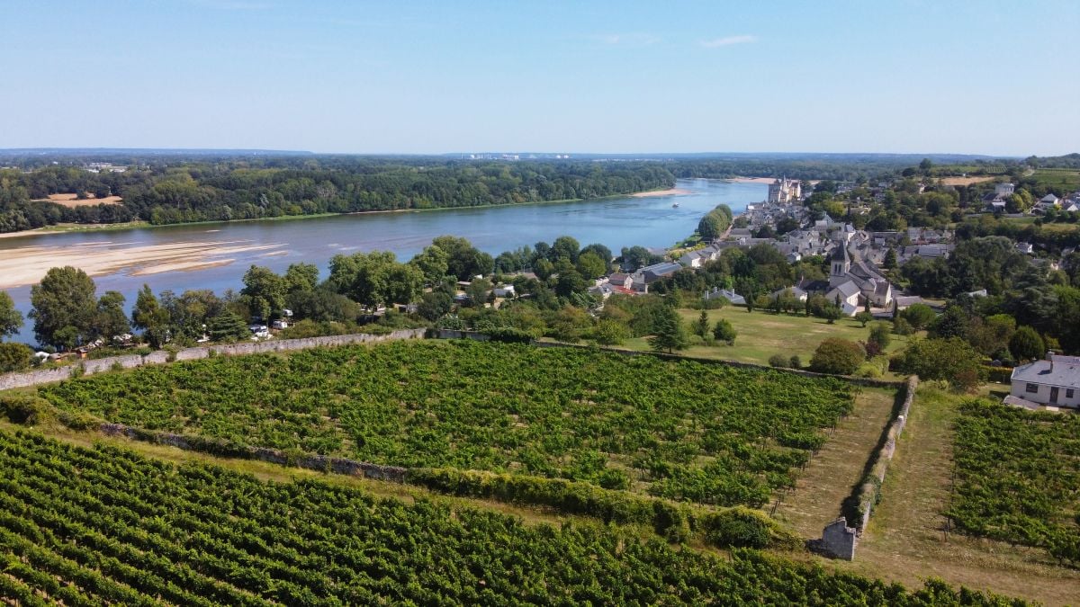 Les Vins de Loire, joyaux d'un terroir d'une richesse unique