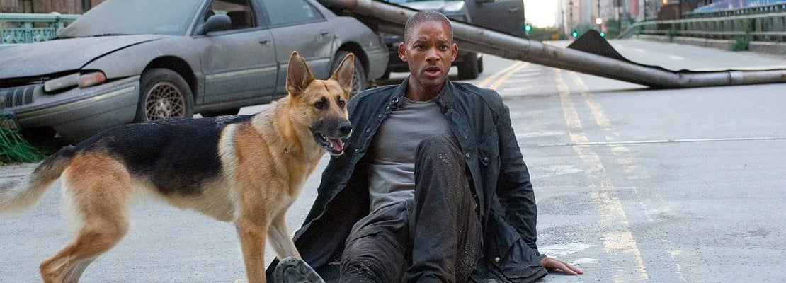 «Je suis une légende» : 17 ans après, Will Smith fait une révélation sur Abbey, la chienne qui a joué avec lui dans le film
