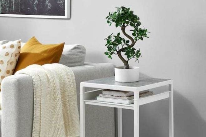 Ikea dévoile son bonsaï artificiel
