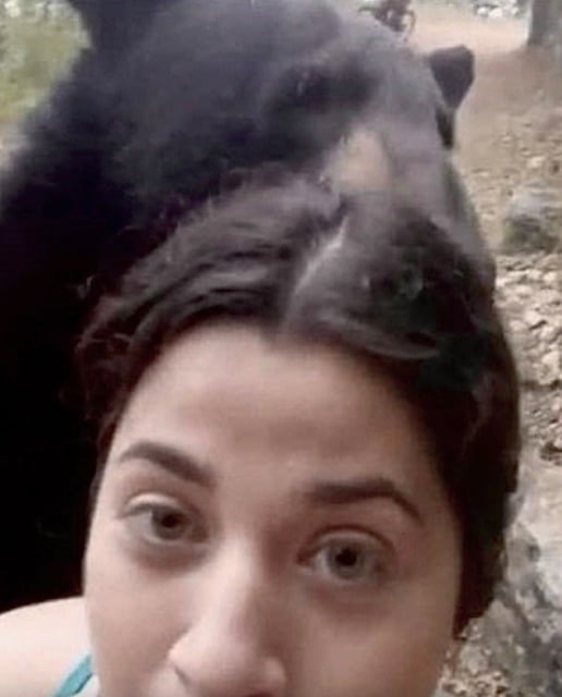 Une randonneuse qui prend un selfie avec un ours noir 