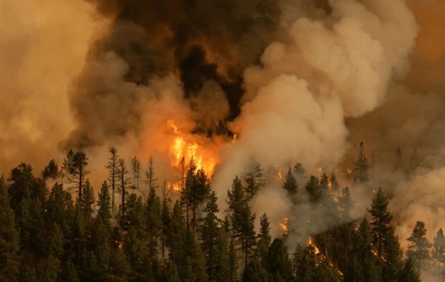 Feu de forêt en Californie