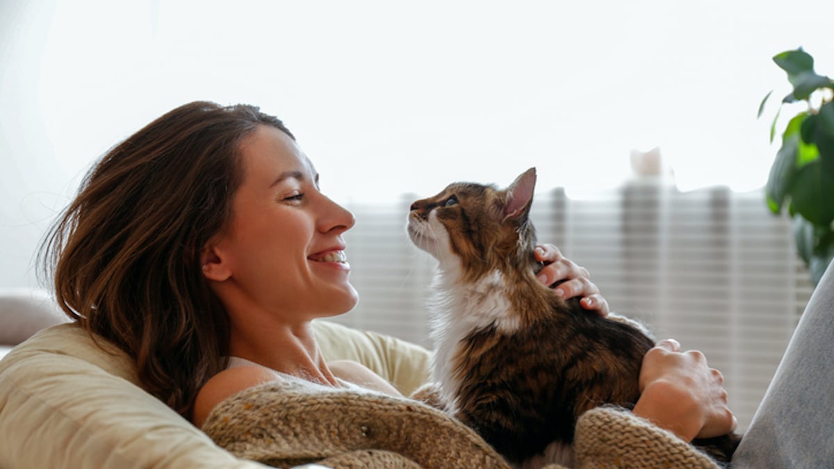 un chat sur le ventre de sa maîtresse