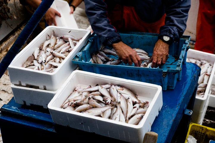 Pêcheur triant le poisson à bord de son bateau