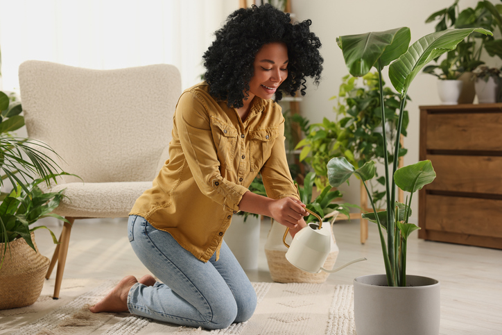 Une femme arrose une plante en pot