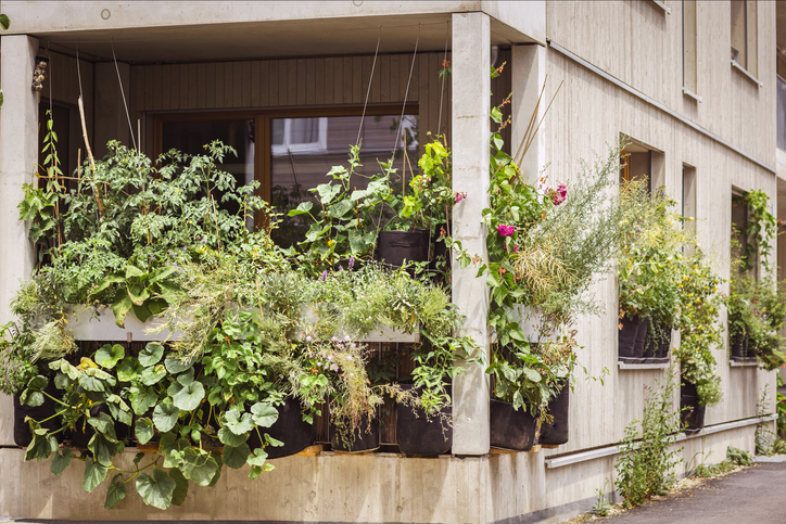 Un balcon fleuri