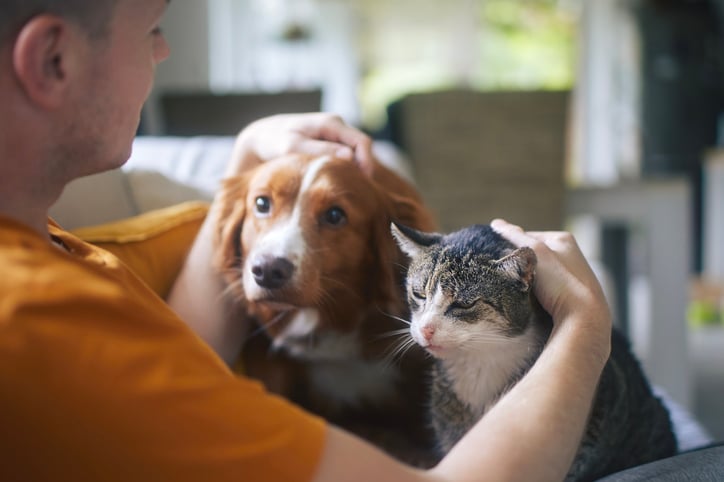 Homme qui caresse son chien et son chat ensemble 