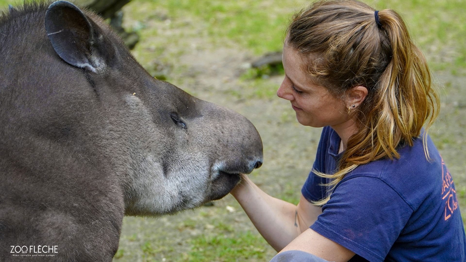 Une soigneuse et un animal du zoo