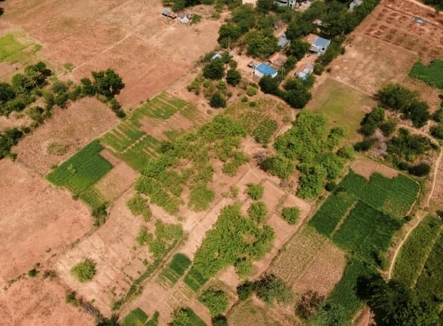 Vue aérienne sur un champ agricole en Inde 