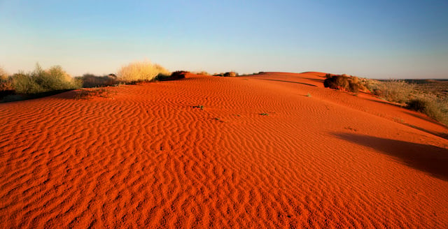 Désert australien