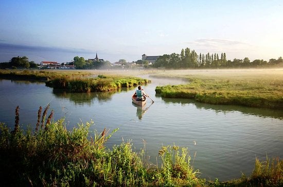 Le marais de Sallertaine