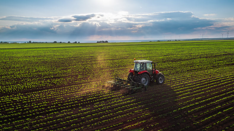 Un tracteur dans un champ