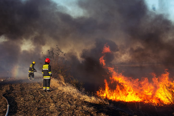 Des pompiers face à un feu de forêt