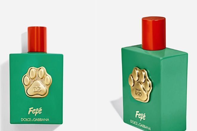 Fefé, le nouveau parfum pour chien de Dolce & Gabbana