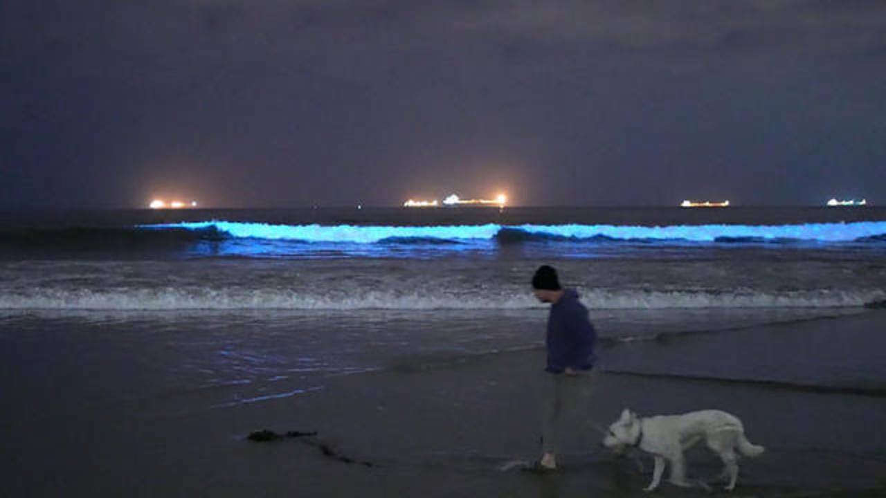 Une lumière bleue dans l'océan