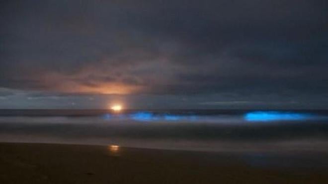 Une lumière bleue dans l'océan