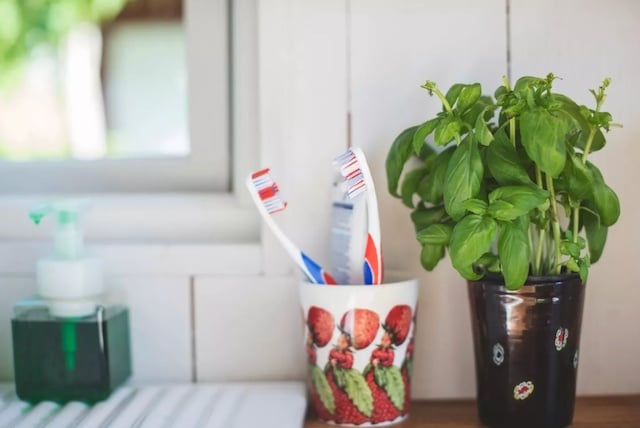 Deux brosses à dents dans une salle de bain