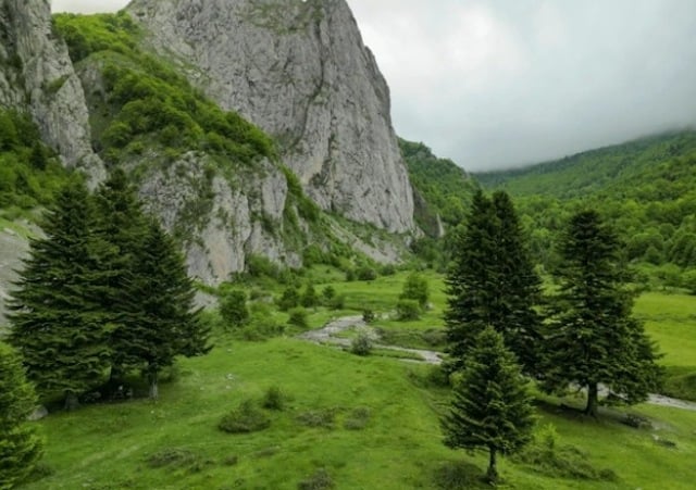 Plateau de Sanchèse en Vallée d'Aspe