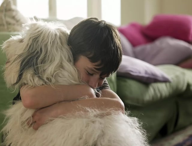 Ce petit garçon enlace son chien de compagnie