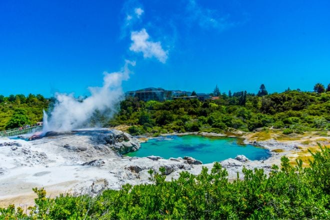 Rotorua en Nouvelle-Zélande et ses geysers