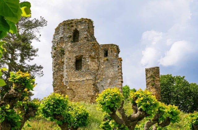 Ruines du château de Montfort-l'Amaury