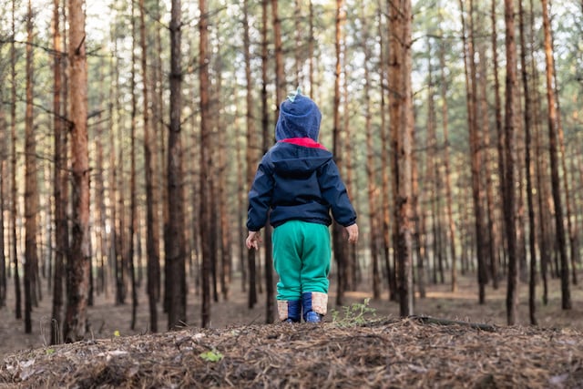 Un petit garçon seul en forêt 