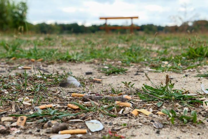 Des mégots de cigarettes qui polluent