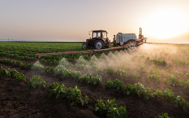 Tracteur pulvérisant des pesticides sur le champ de légumes