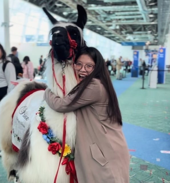 Une passagère en train d'enlacer un lama à l'aéroport de Portland 