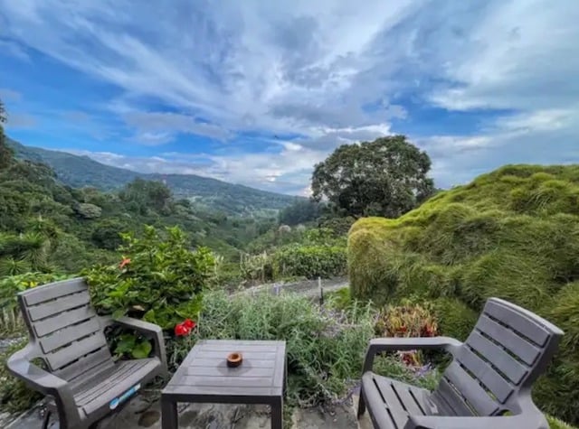 La vue depuis le patio