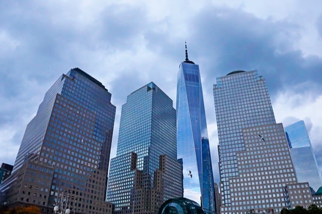 Des oiseaux autour des gratte-ciel new yorkais