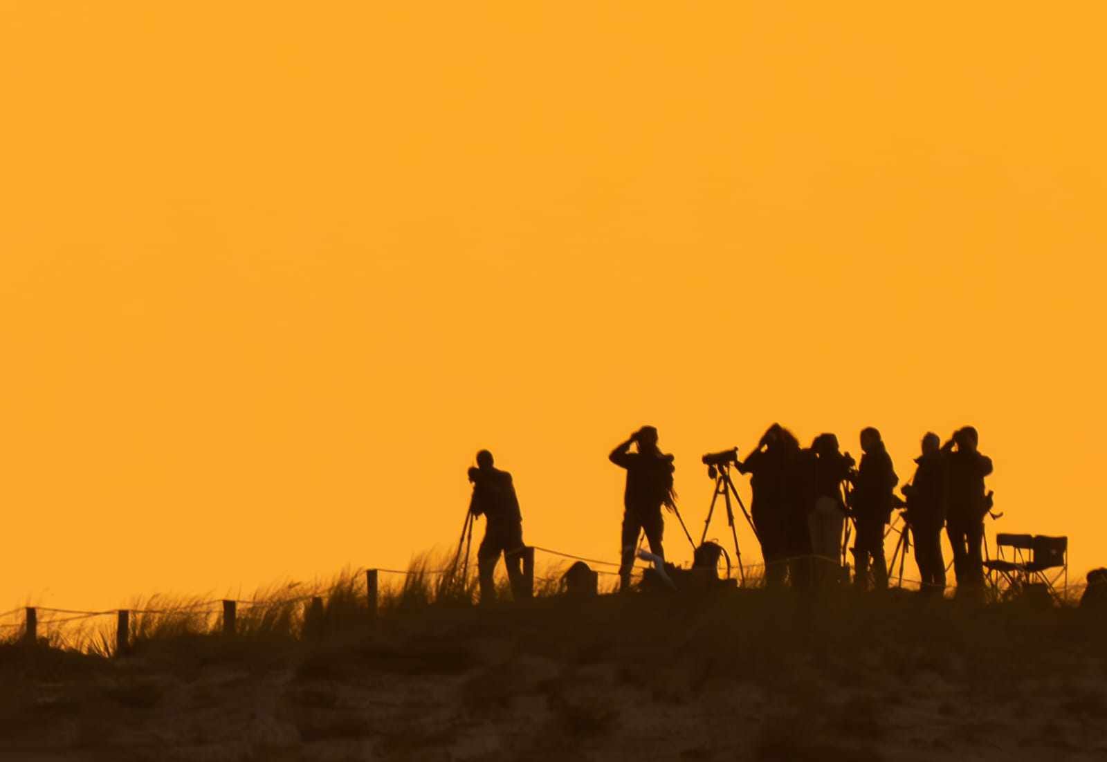 Un groupe de personnes utilise des jumelles et des appareils photo