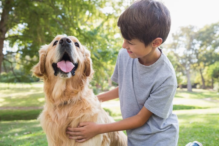 Un enfant caresse un chien