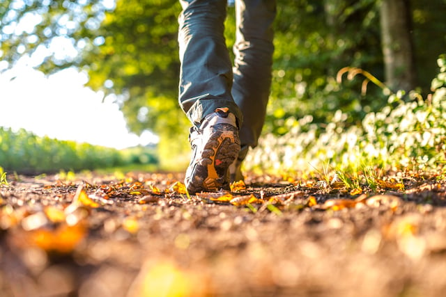 Gros plan sur les jambes d'un randonneur