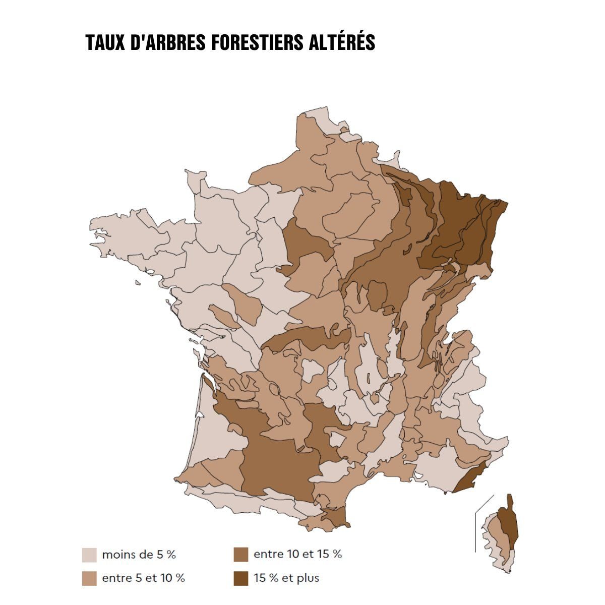 La carte du taux d'arbres forestiers altérés